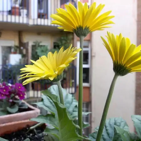 Appartement Azahara Córdoba